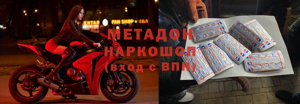 шишки Сатка