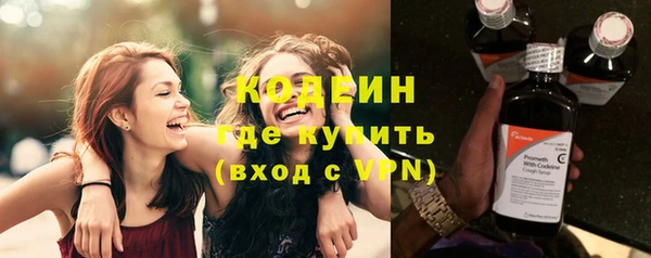 шишки Сатка