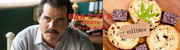 шишки Сатка