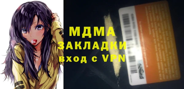 шишки Сатка
