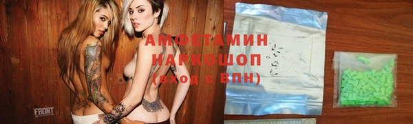 шишки Сатка