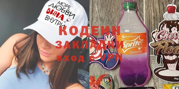 шишки Сатка