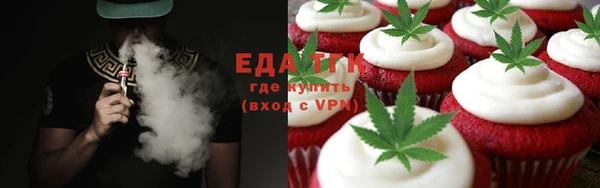 шишки Сатка