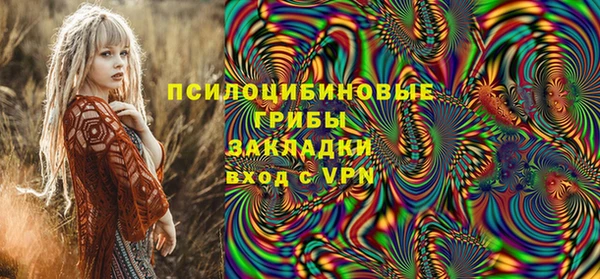шишки Сатка