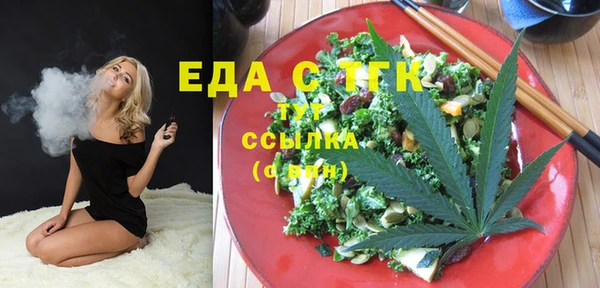 шишки Сатка