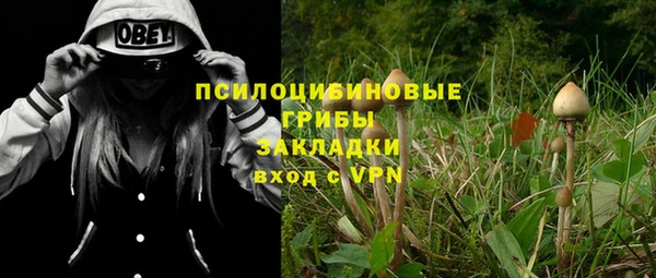 шишки Сатка