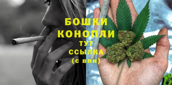шишки Сатка