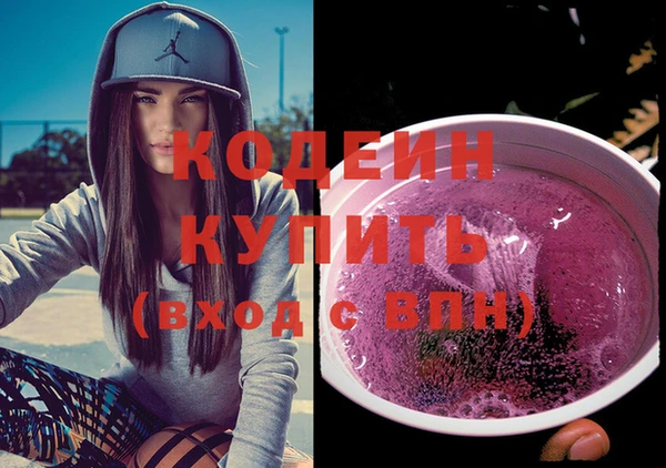 шишки Сатка